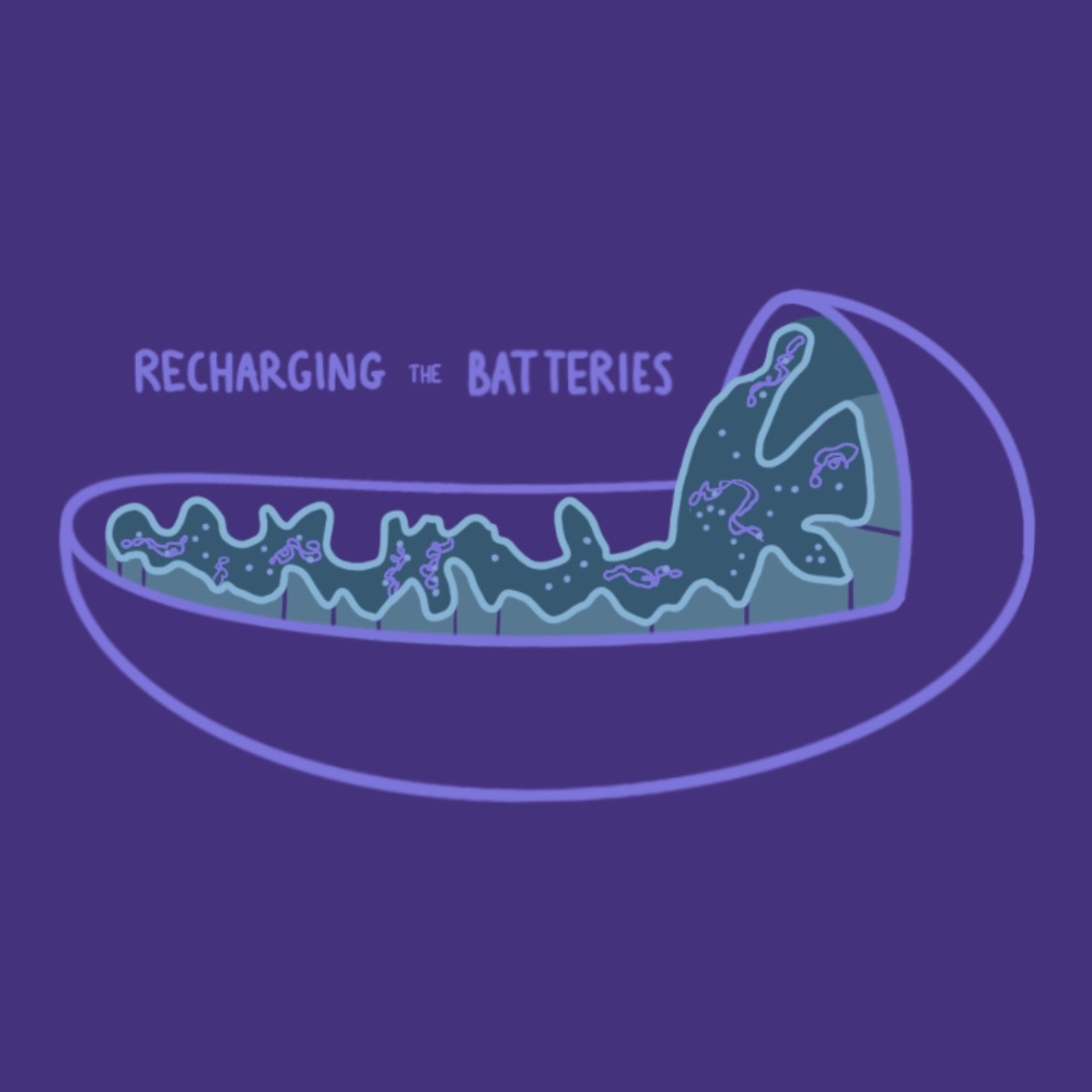 Recharging the Batteries